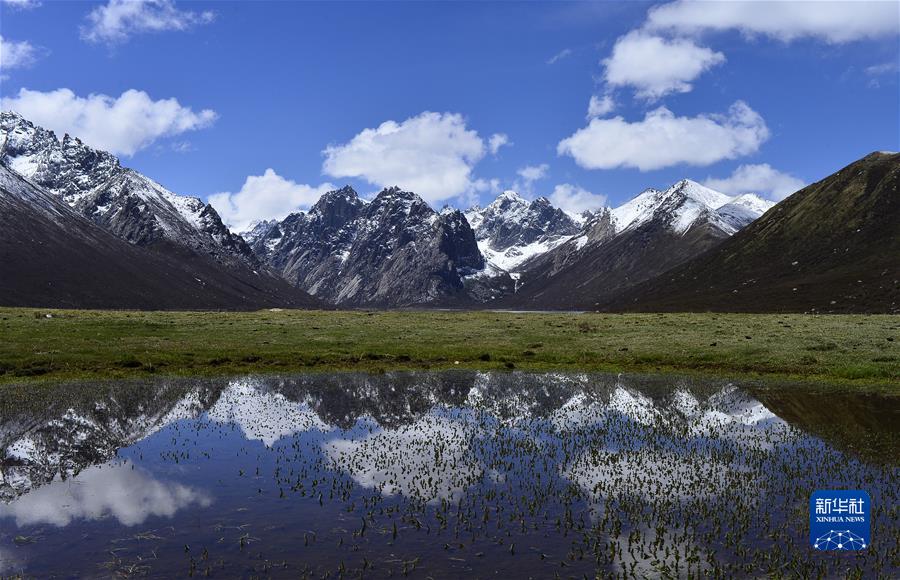 （新華全媒頭條·聚焦生物多樣性大會(huì)·圖文互動(dòng)）（7）攜手同行，開啟人類高質(zhì)量發(fā)展新征程——習(xí)近平主席在《生物多樣性公約》第十五次締約方大會(huì)領(lǐng)導(dǎo)人峰會(huì)上的主旨講話解讀